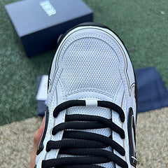 Christian Dior Sneakers